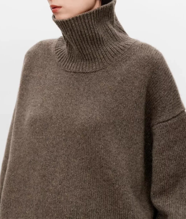 Eliana - Sweater With Turtleneck