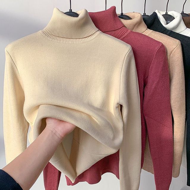 Léontine - Winter Warmth Lined Sweater