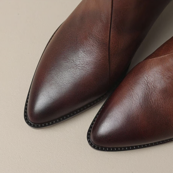 Zaria | Pointed-Toe Block Heel Ankle Boots in Two Shades for Women